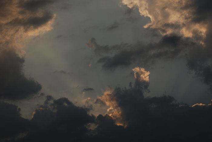e0053660_8432830.jpg