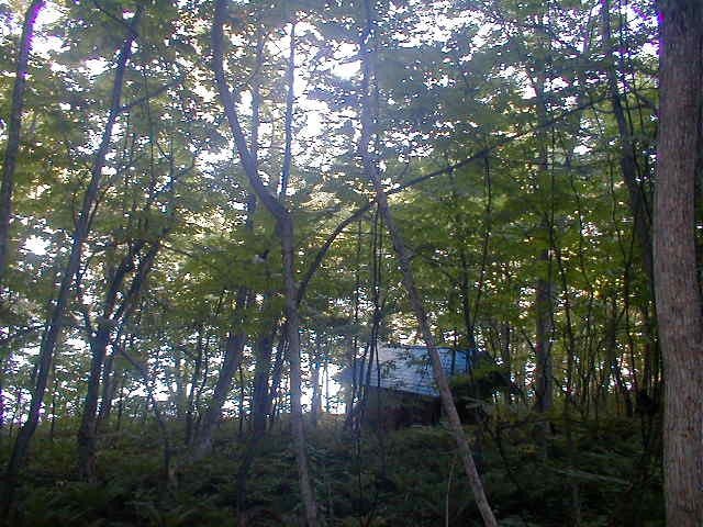 a0095963_20244100.jpg