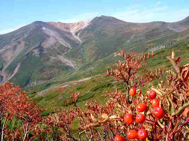 大雪山紅葉廻り「旭岳」ⅳ_e0122168_23305193.jpg