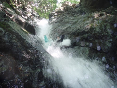 d0079579_6181496.jpg