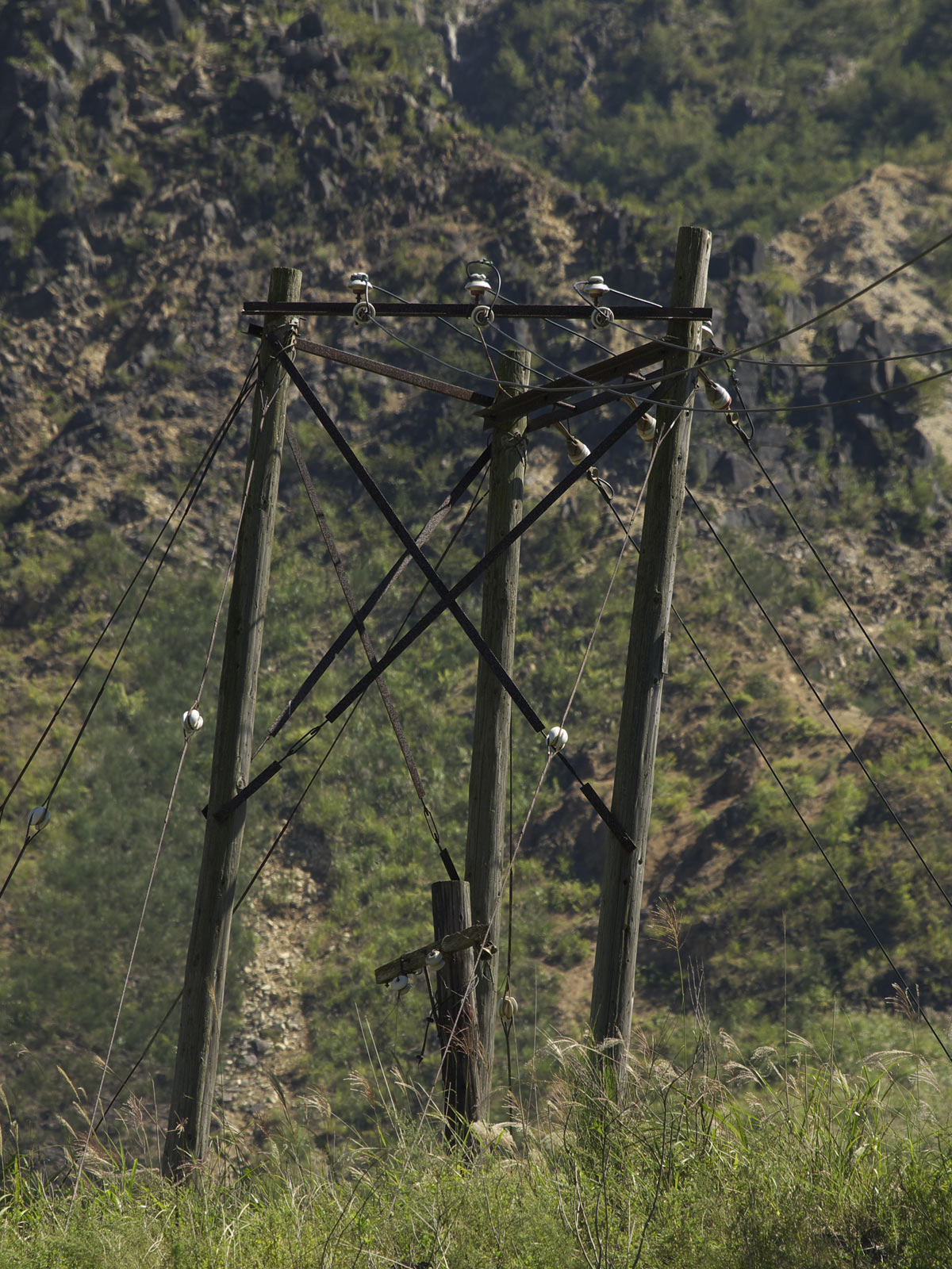 f0121181_025216.jpg