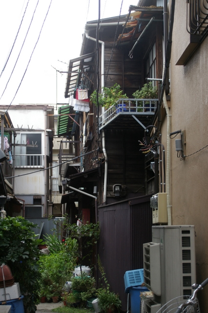 根津神社_a0077690_18141349.jpg