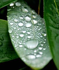 雨降りの１日_e0120896_17553284.jpg