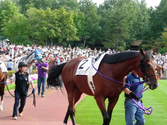 e0088402_20221212.jpg