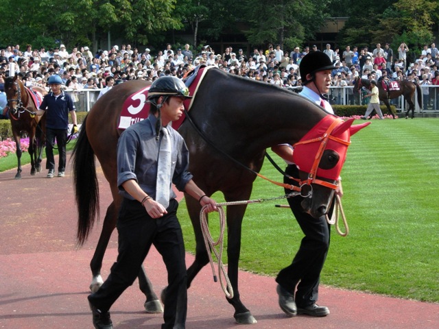 e0088402_20561230.jpg