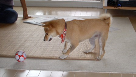 f0004309_14481733.jpg