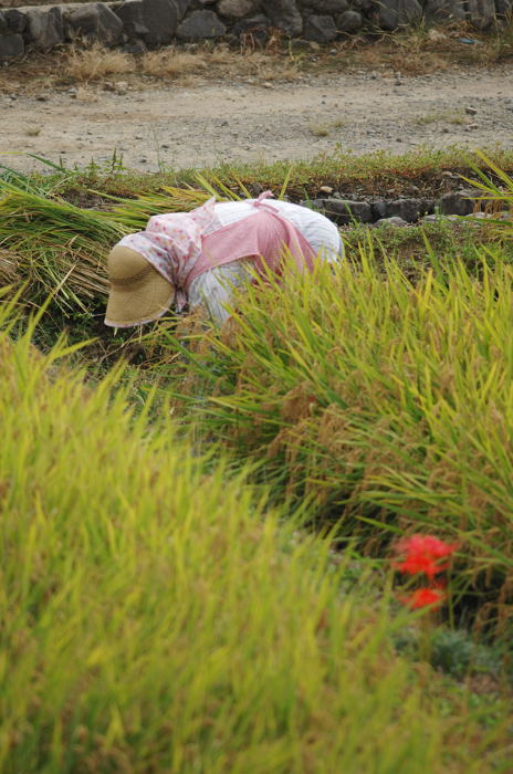 働くｍｏｎｏ達＠北嵯峨野_f0032011_19171230.jpg