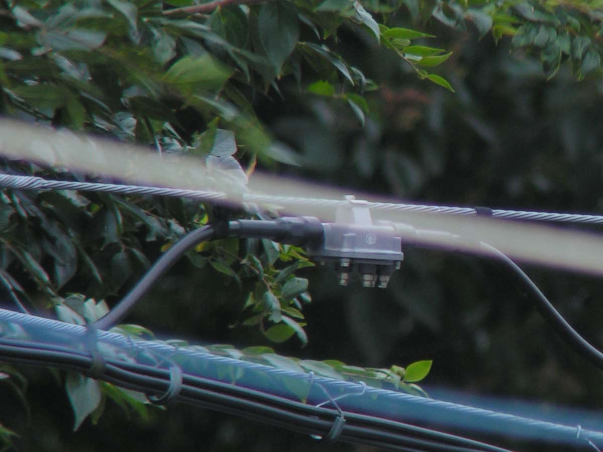 c0001613_6342100.jpg