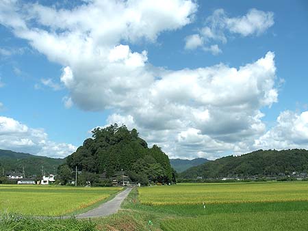 鎮守の森 雨宮神社 の風景にしばし足をとめて ミカンのはなうた日記 鎮守の森 雨宮神社 の風景にしばし足をとめて ミカンのはなうた日記
