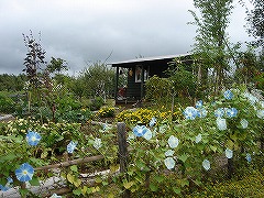 ヴィラデスト　軽井沢タリアセン　おぎはら植物園に行ってきました_f0054421_21543226.jpg