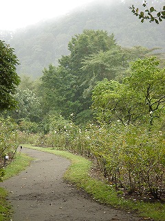 ヴィラデスト　軽井沢タリアセン　おぎはら植物園に行ってきました_f0054421_215958.jpg