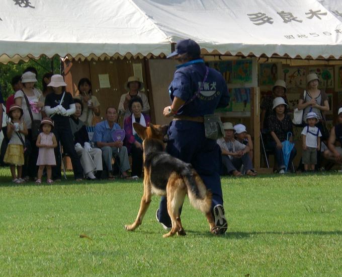 動物フェスタにて・「暑さ対策」_c0127235_21444236.jpg