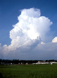 d0130640_14571835.jpg