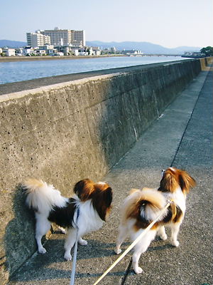 e0100046_15311394.jpg