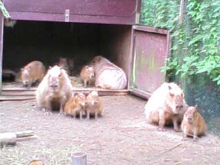 c0054954_13175047.jpg