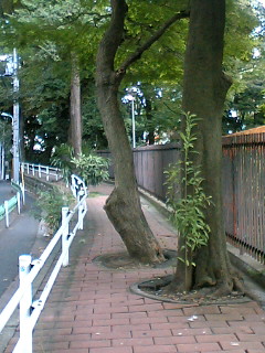 坂道、、_c0133561_14124496.jpg