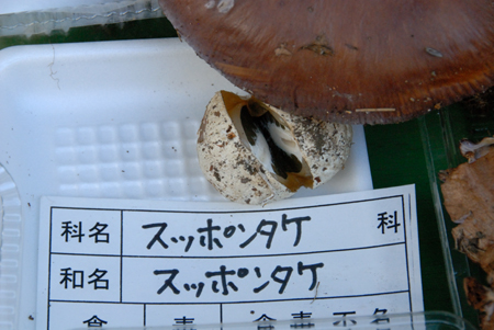a0073962_23293138.jpg