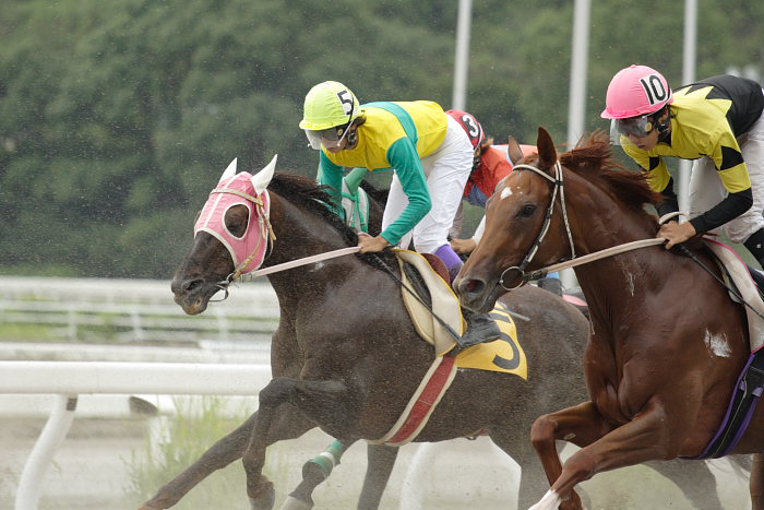 西川敏弘騎手、通算勝利1900勝達成～_a0077663_19144280.jpg