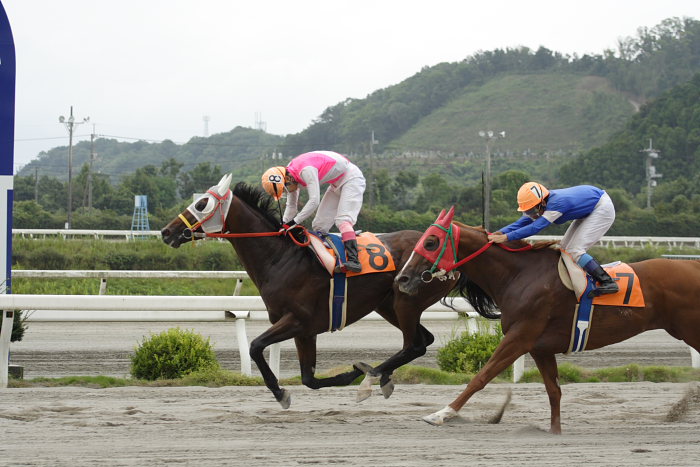 西川敏弘騎手、通算勝利1900勝達成~_a0077663_19151973.jpg