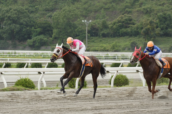 西川敏弘騎手、通算勝利1900勝達成～_a0077663_1915980.jpg