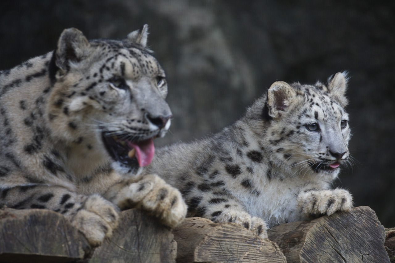 多摩動物公園140_e0060169_5374661.jpg