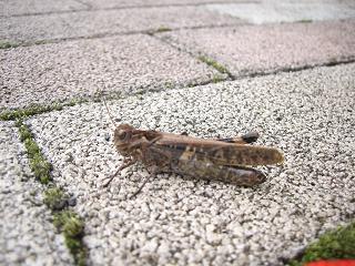 f0071477_23481878.jpg