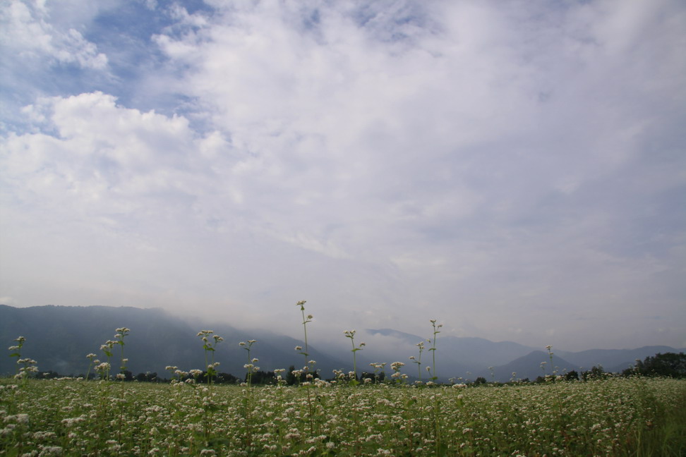 里山の風景…_b0093678_915153.jpg