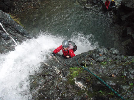d0079579_6484026.jpg