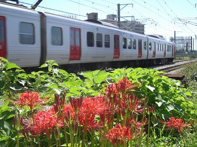 a0082884_88441.jpg