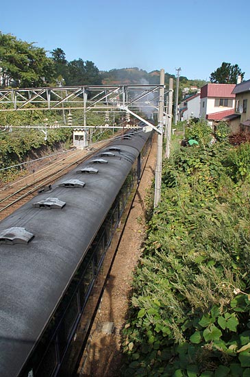 a0086387_23431456.jpg
