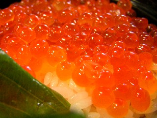 a0067991_12243338.jpg