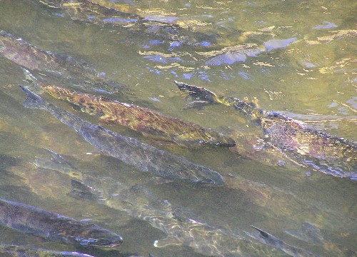 a0067991_15432171.jpg