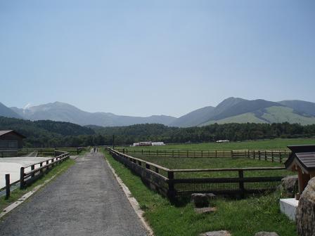 e0106098_1232394.jpg