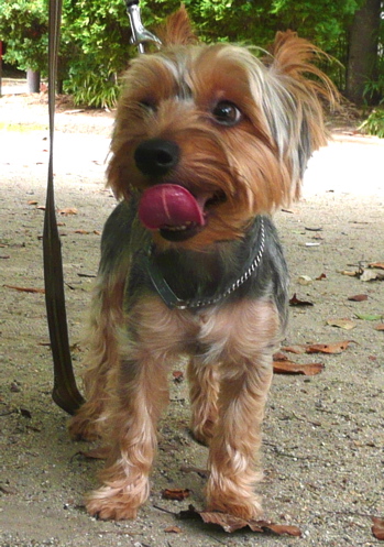 f0146198_04755.jpg