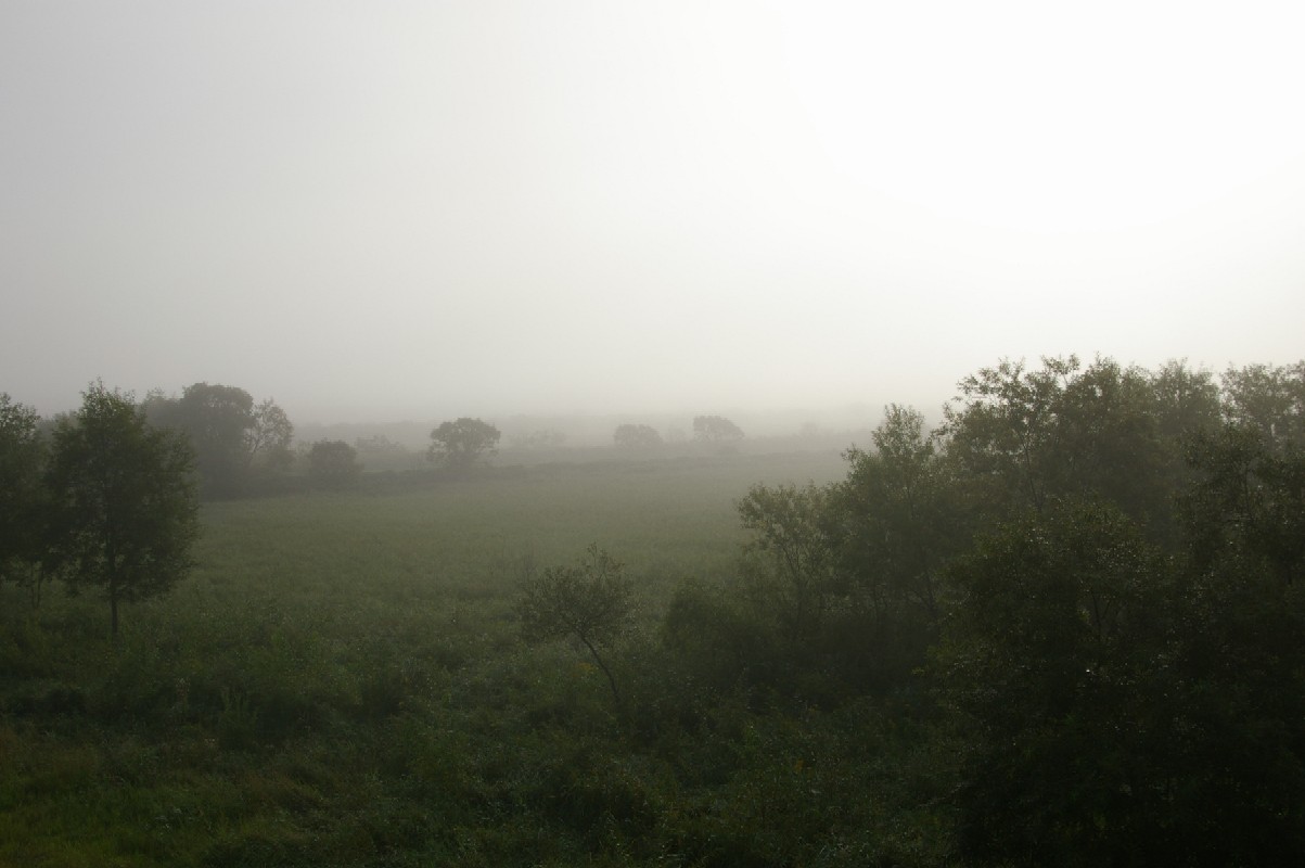 d0124100_18373921.jpg