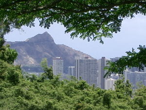 c0084903_14121624.jpg