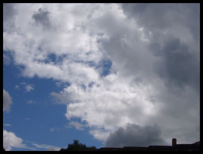 a0008105_221740.jpg