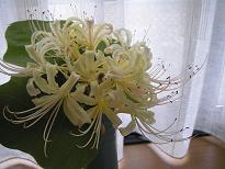 f0008510_19492187.jpg