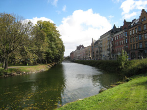 e0038811_1555216.jpg