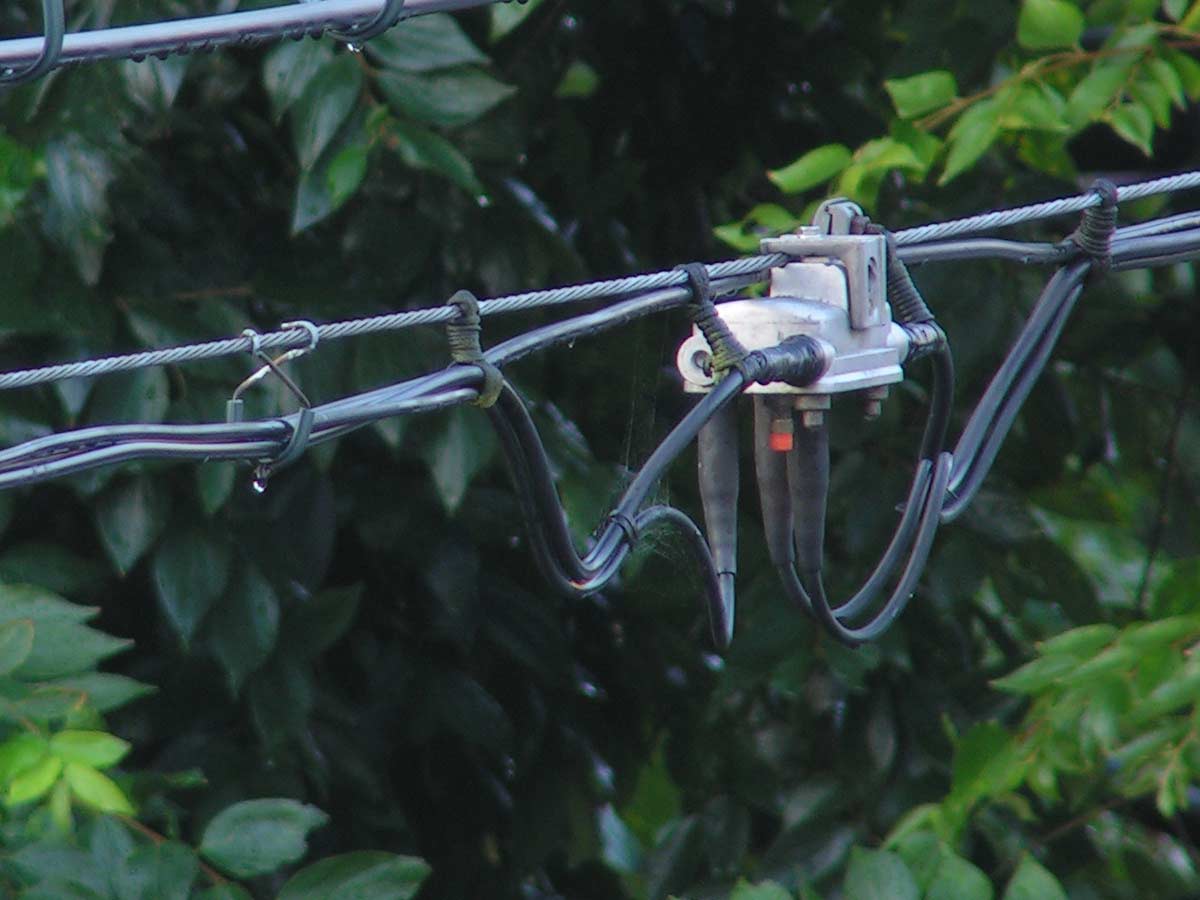 c0001613_20133330.jpg