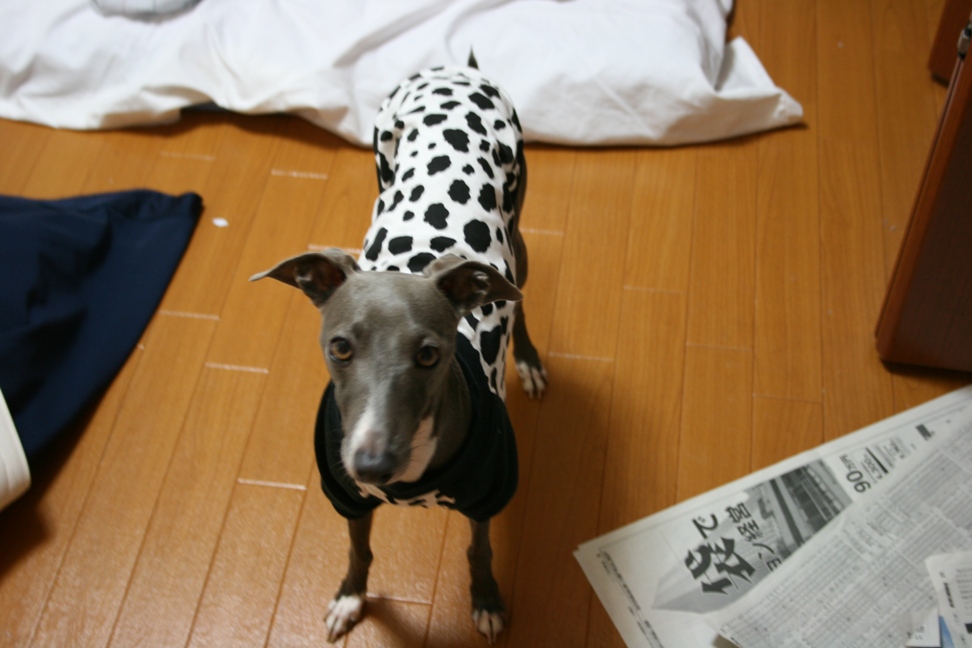 c0003217_16335.jpg