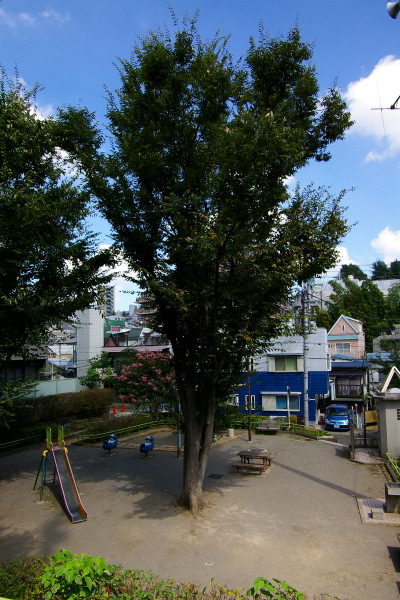 上大崎の風景・坂道と大使館_b0053019_21471988.jpg