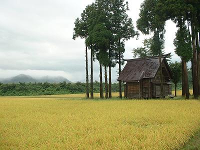 明け方近くに雷雨がありました_d0015124_8263334.jpg