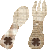 e0009324_22354911.gif