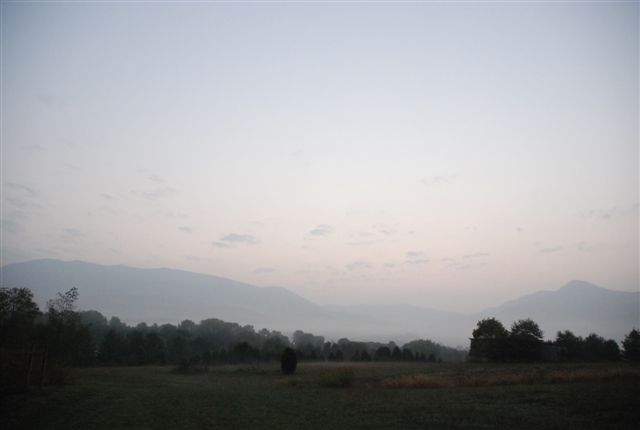 Gooood morning, Virginia!_e0103024_204254.jpg