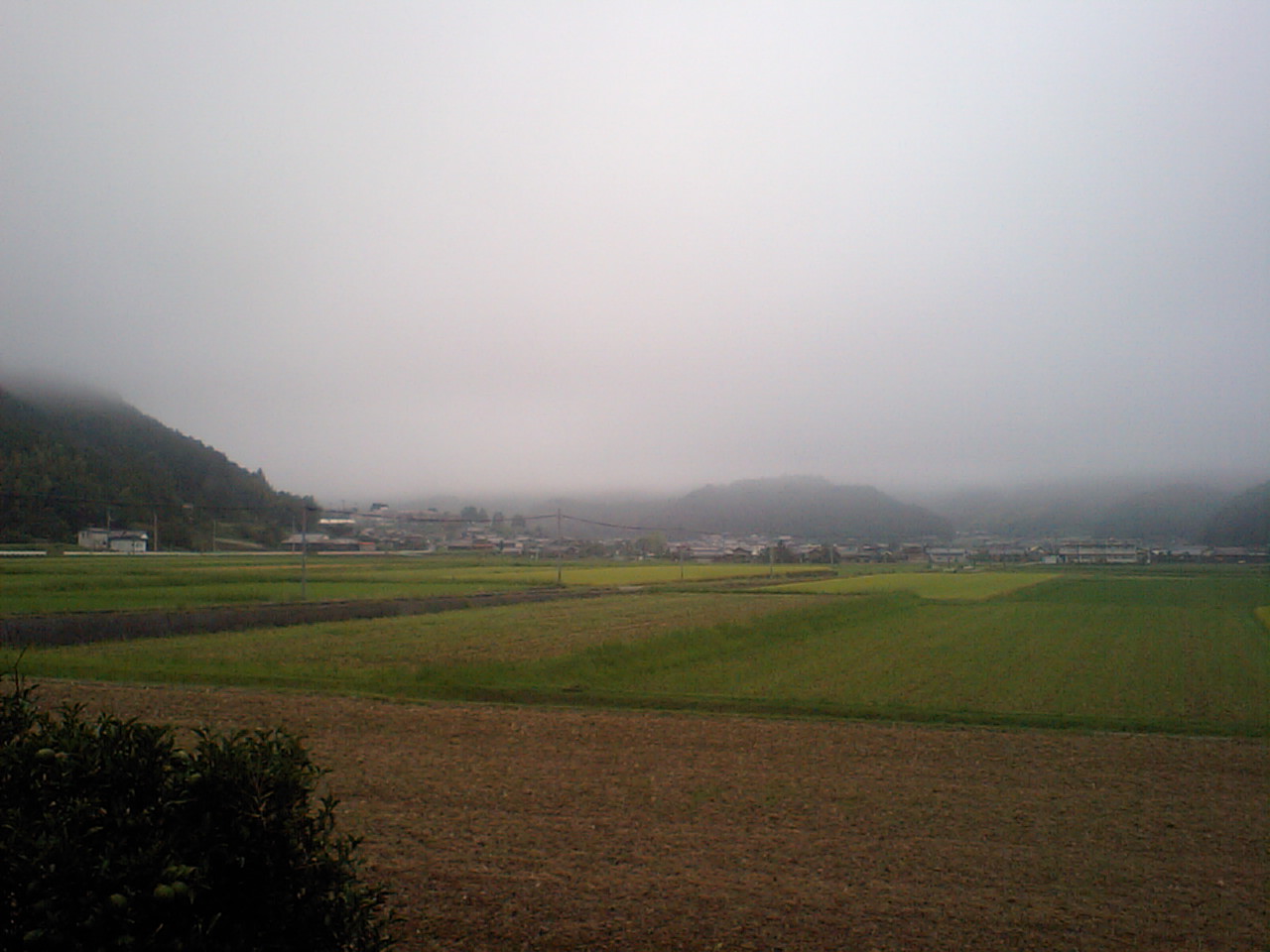 c0117028_22264650.jpg