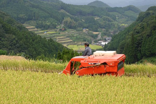 佐賀県相知蕨野棚田_e0105029_13561025.jpg