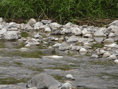 a0056140_15135381.gif