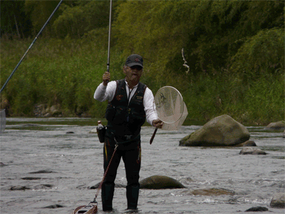 a0056140_16311399.gif