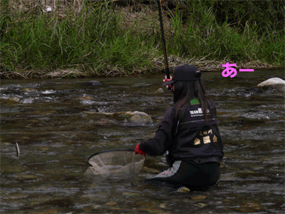 a0056140_16375291.gif